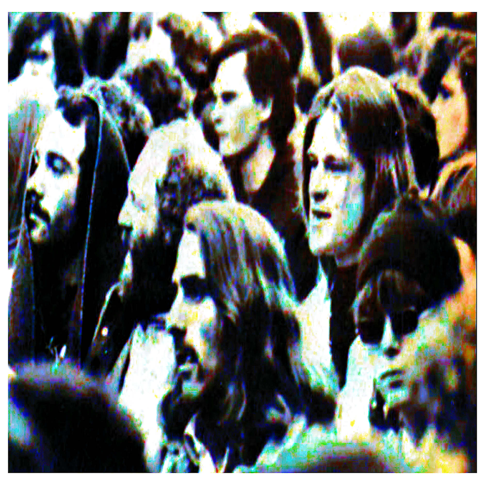 FIELDS OF PEPPERMINT