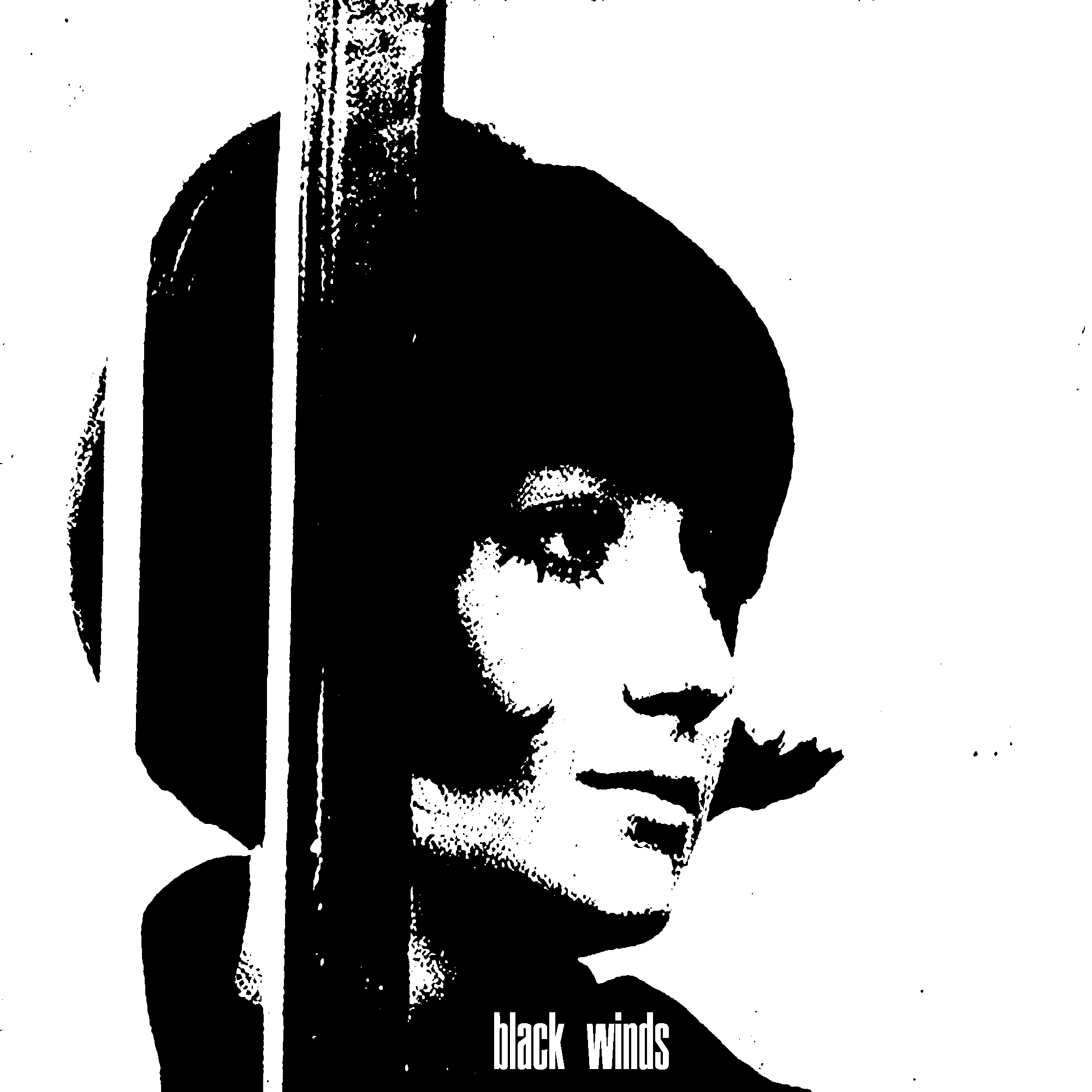 BLACK WINDS