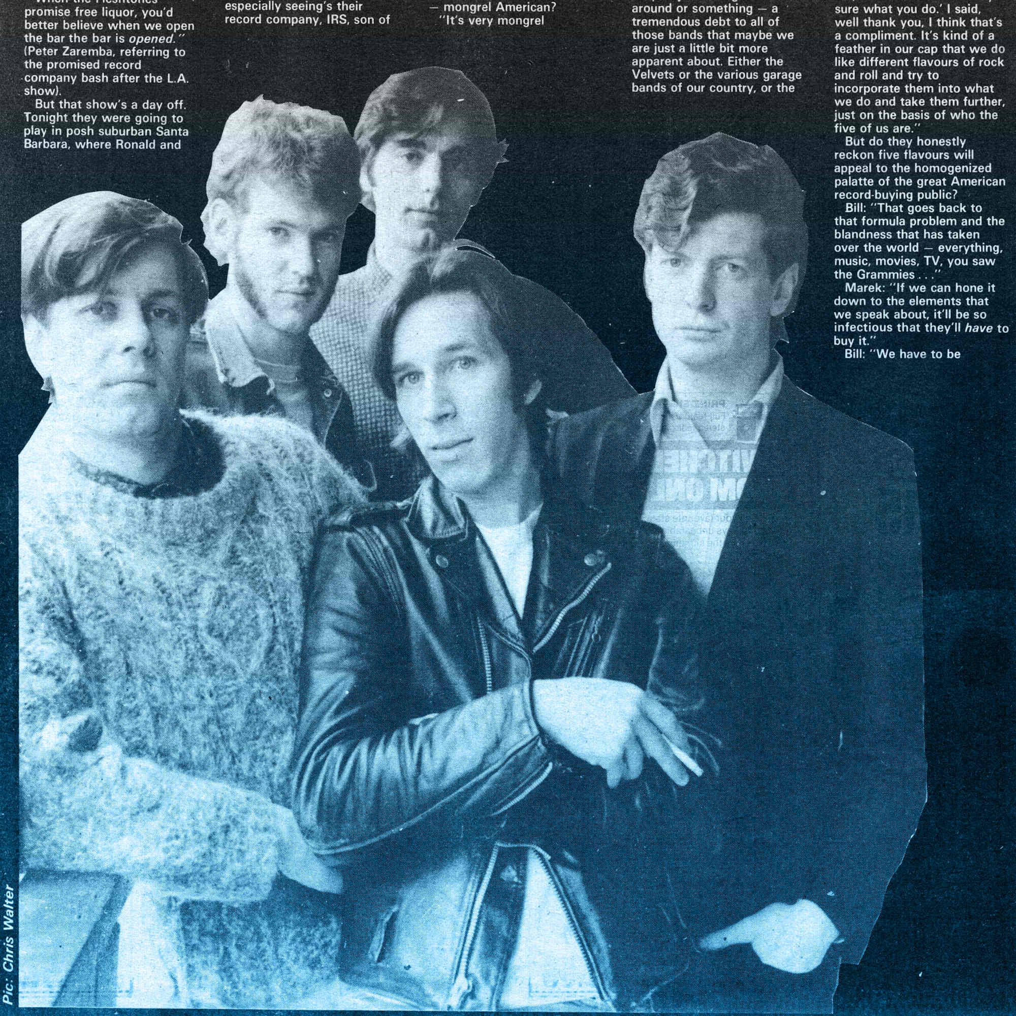 FLESHTONES