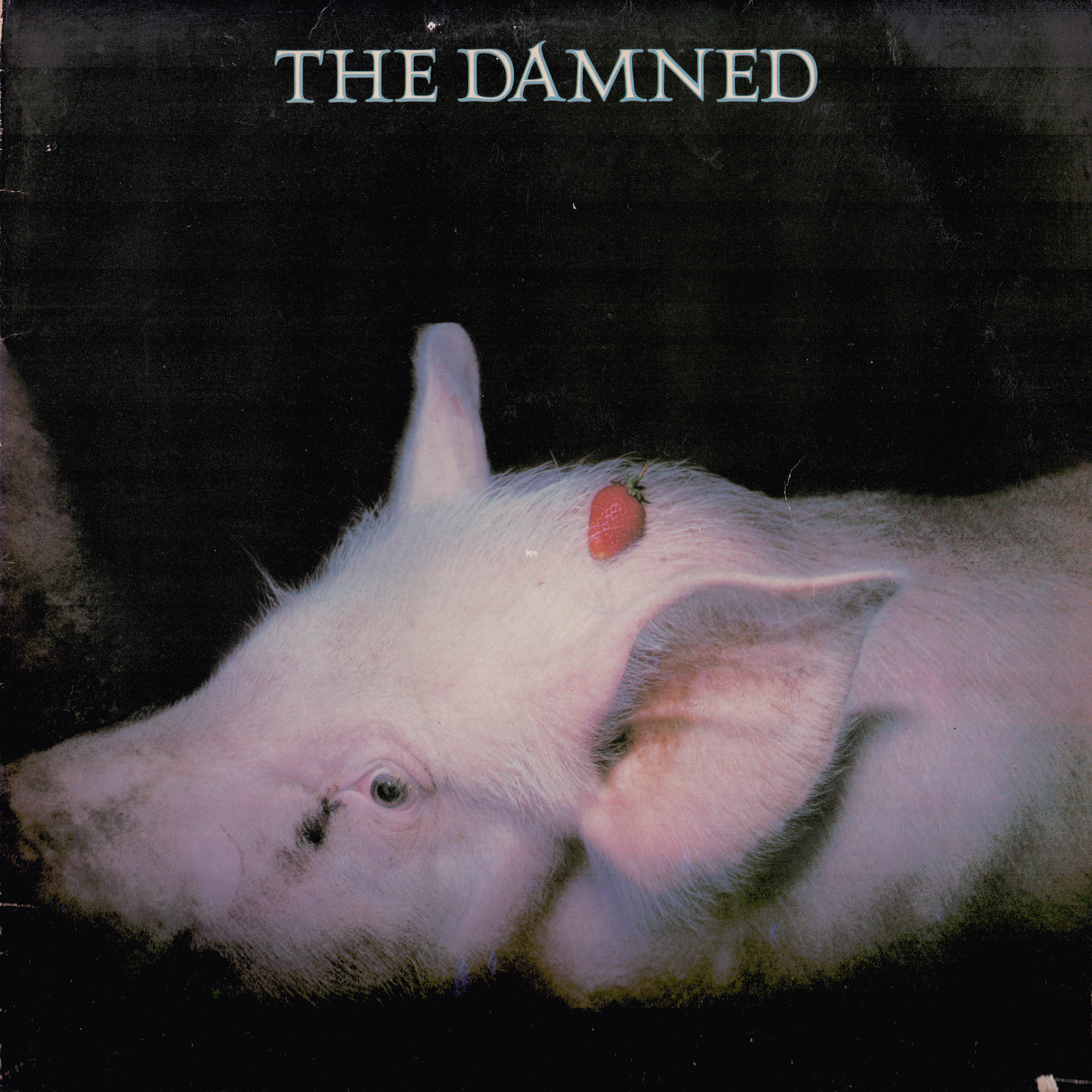 THE DAMNED