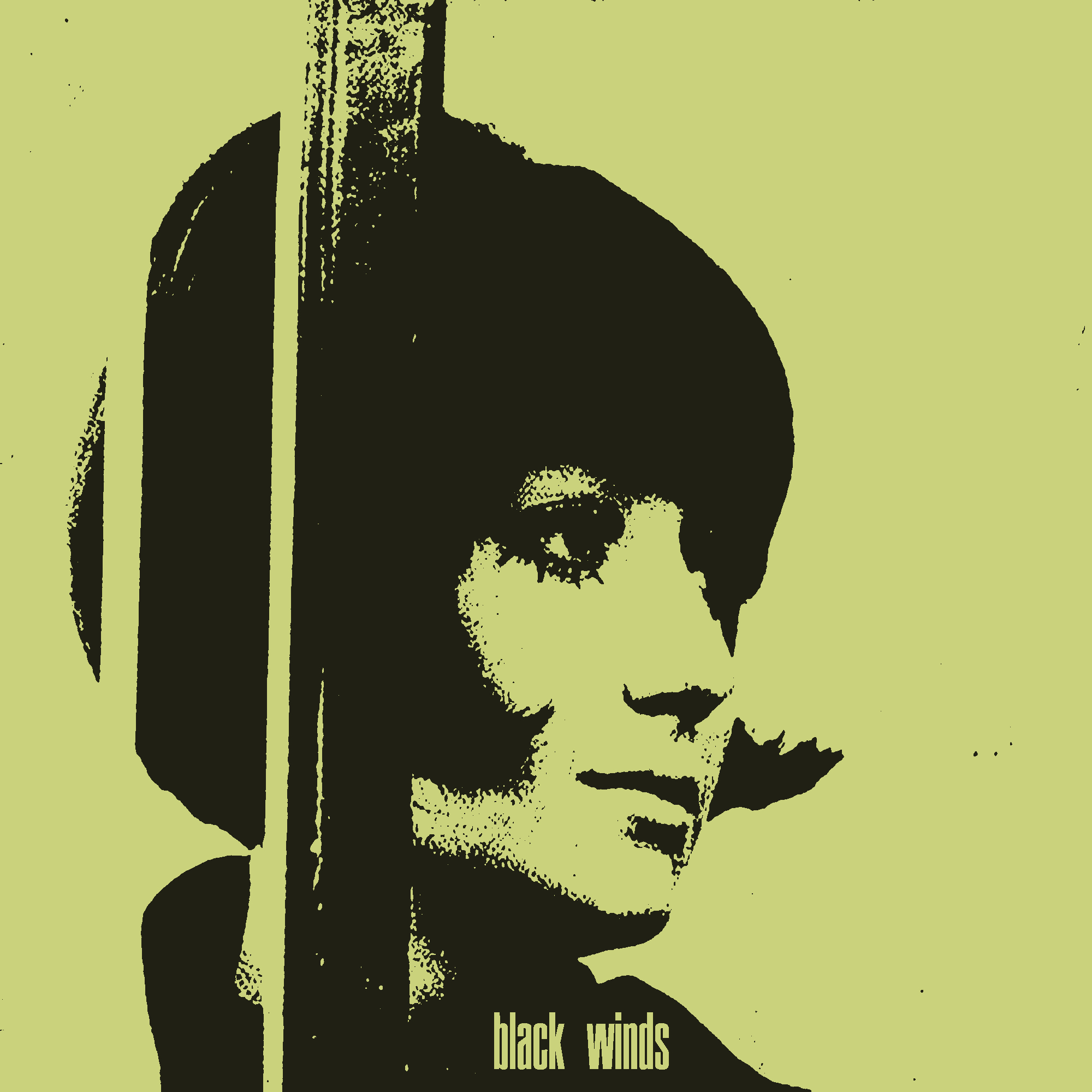 BLACK WINDS