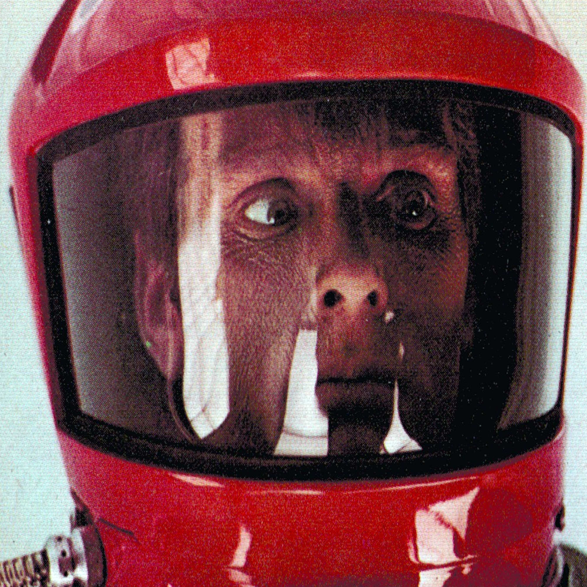 2001 SPACE ODYSSEY