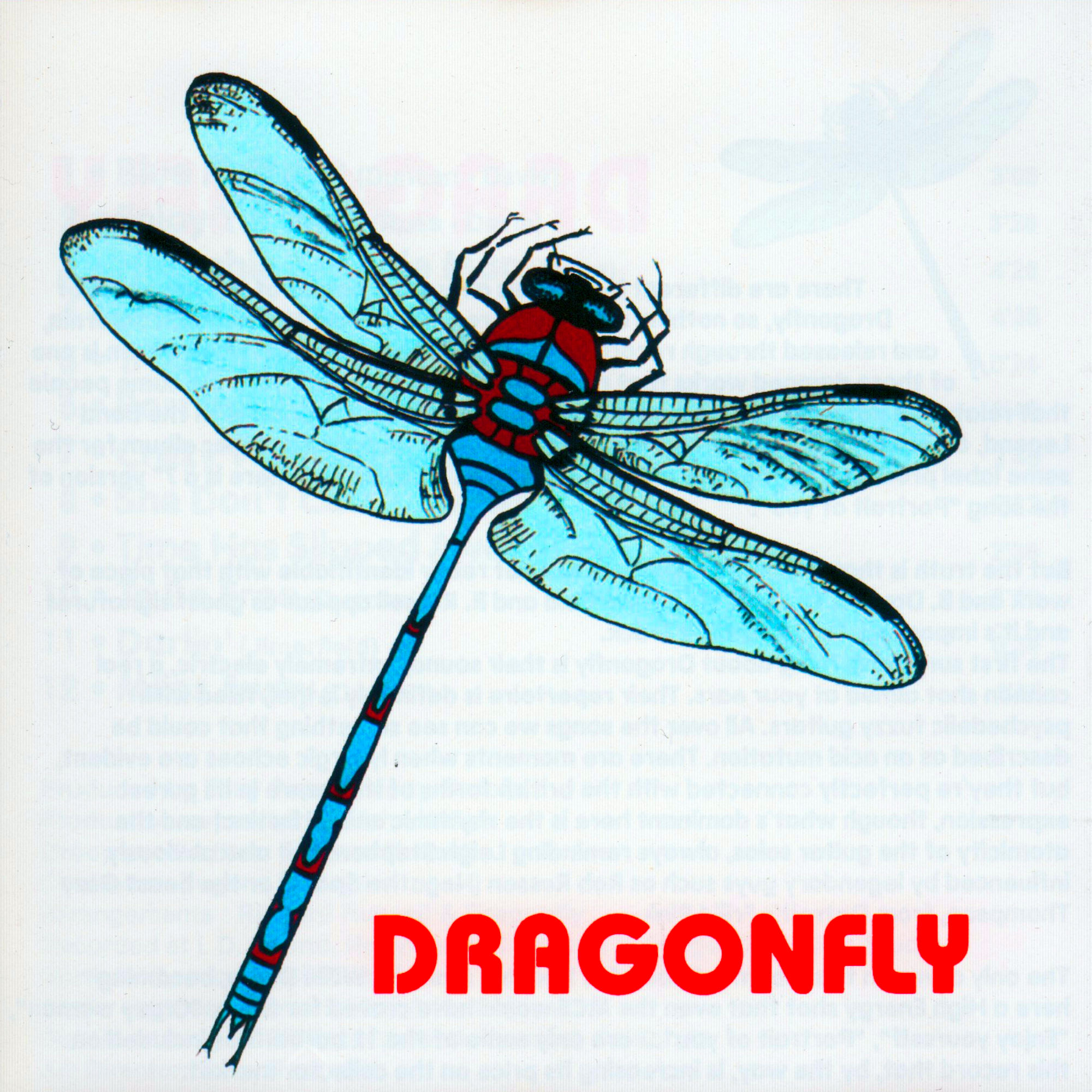 DRAGONFLY