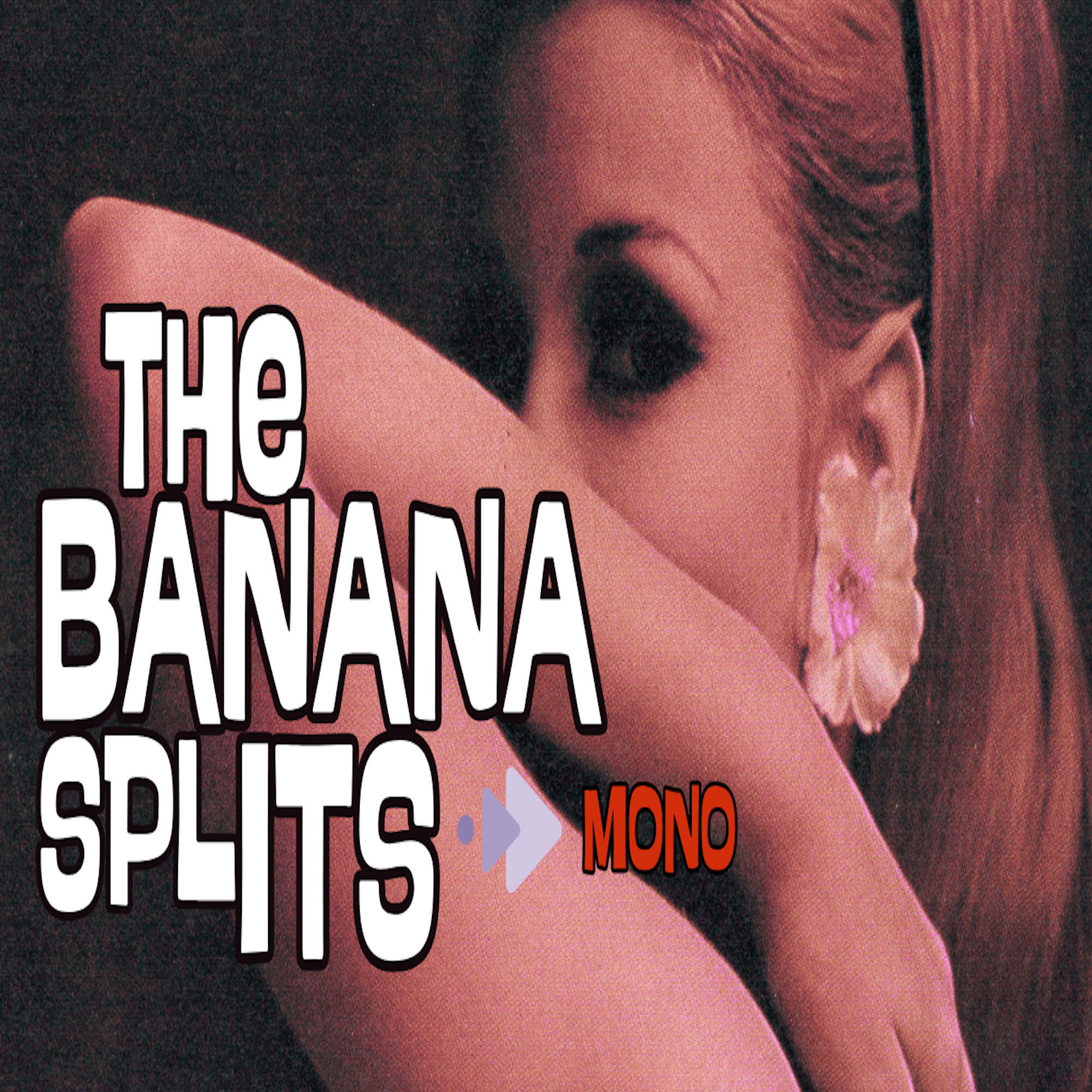 The Banana Splits | Wait Til Tomorrow | Decca | 1968